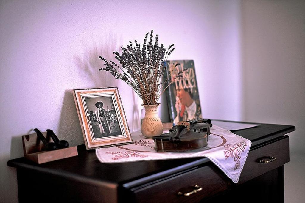 Penzion Primášé Dolni Vestonice Quarto foto